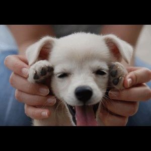 Meet your Posher, Juls